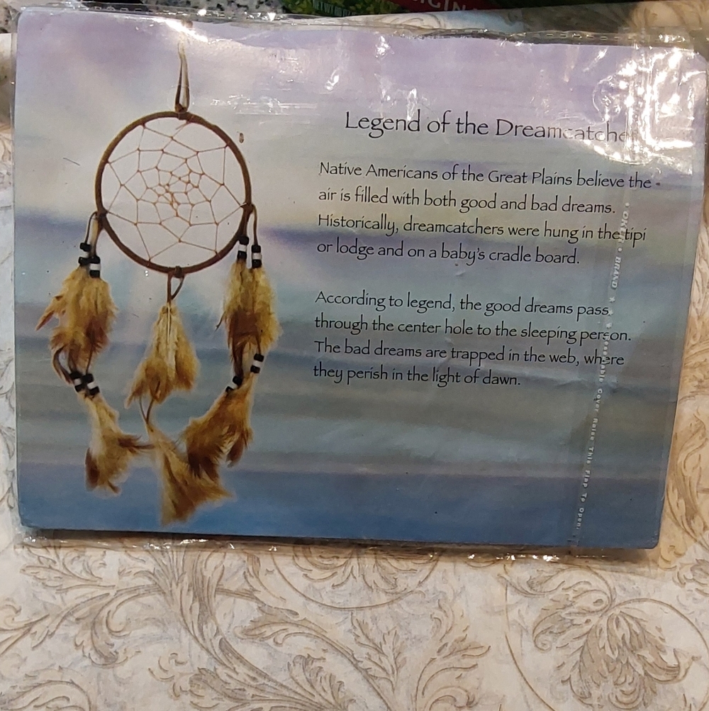 Dreamcatcher Wall Art with Feathers & Chrome Bars